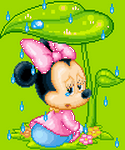 pic for Minnie  